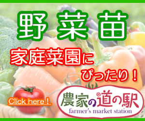 野菜苗インターネット通販